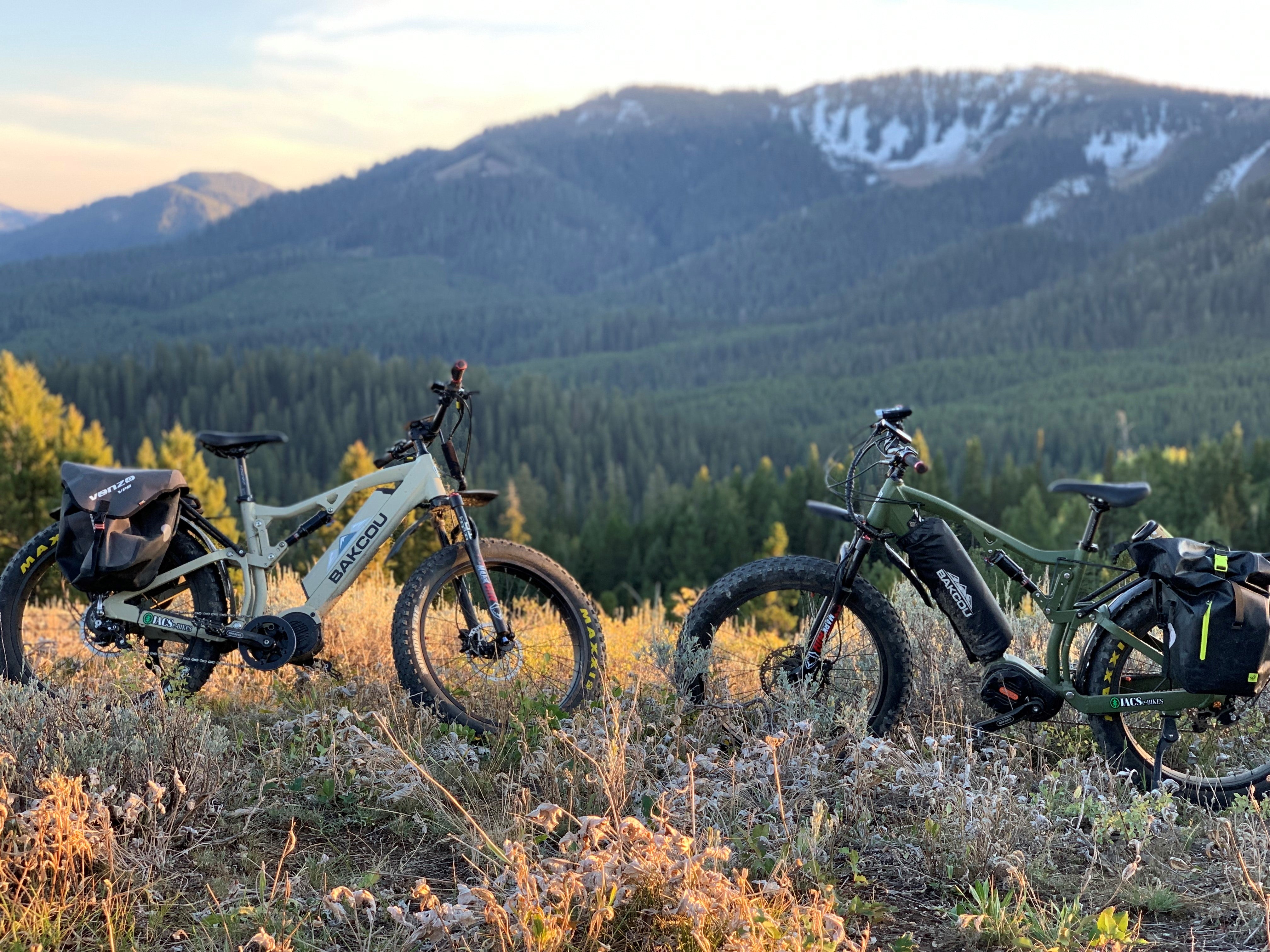 Best electric mountain bikes 2018 on sale